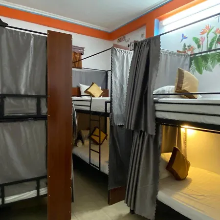 Alex Hostel